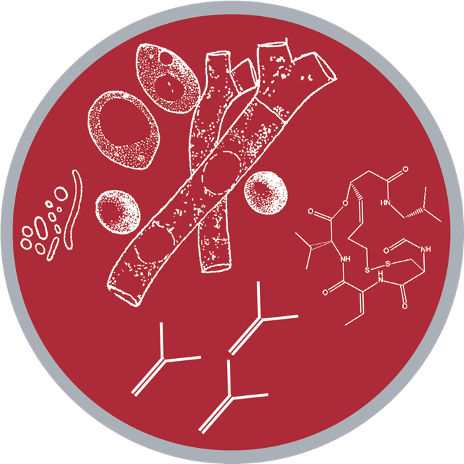 Line drawings of yeast cells, fungal hyphae and natural-product structures in a red disc